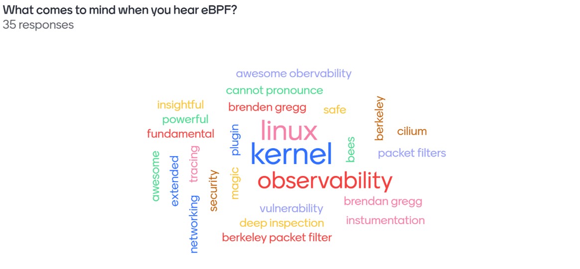 Image showing the responses from Menti poll